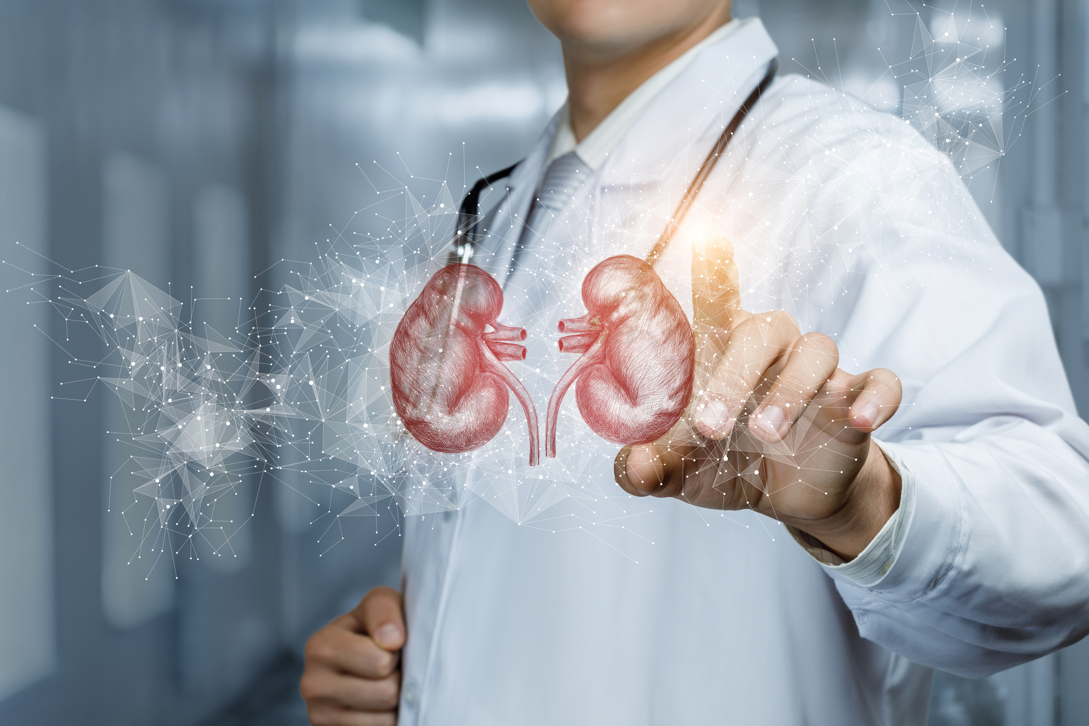 Nephrology Consultation
