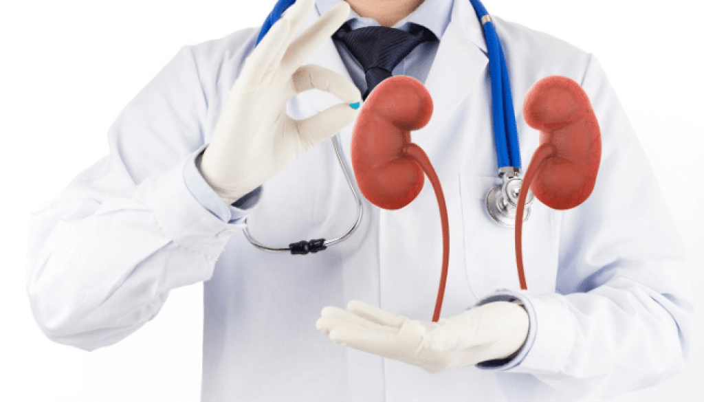 Mednata Kidney Centre
